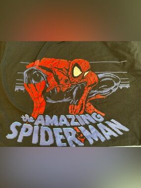 The Amazing Spider-Man Graphic Tee - Red and Black